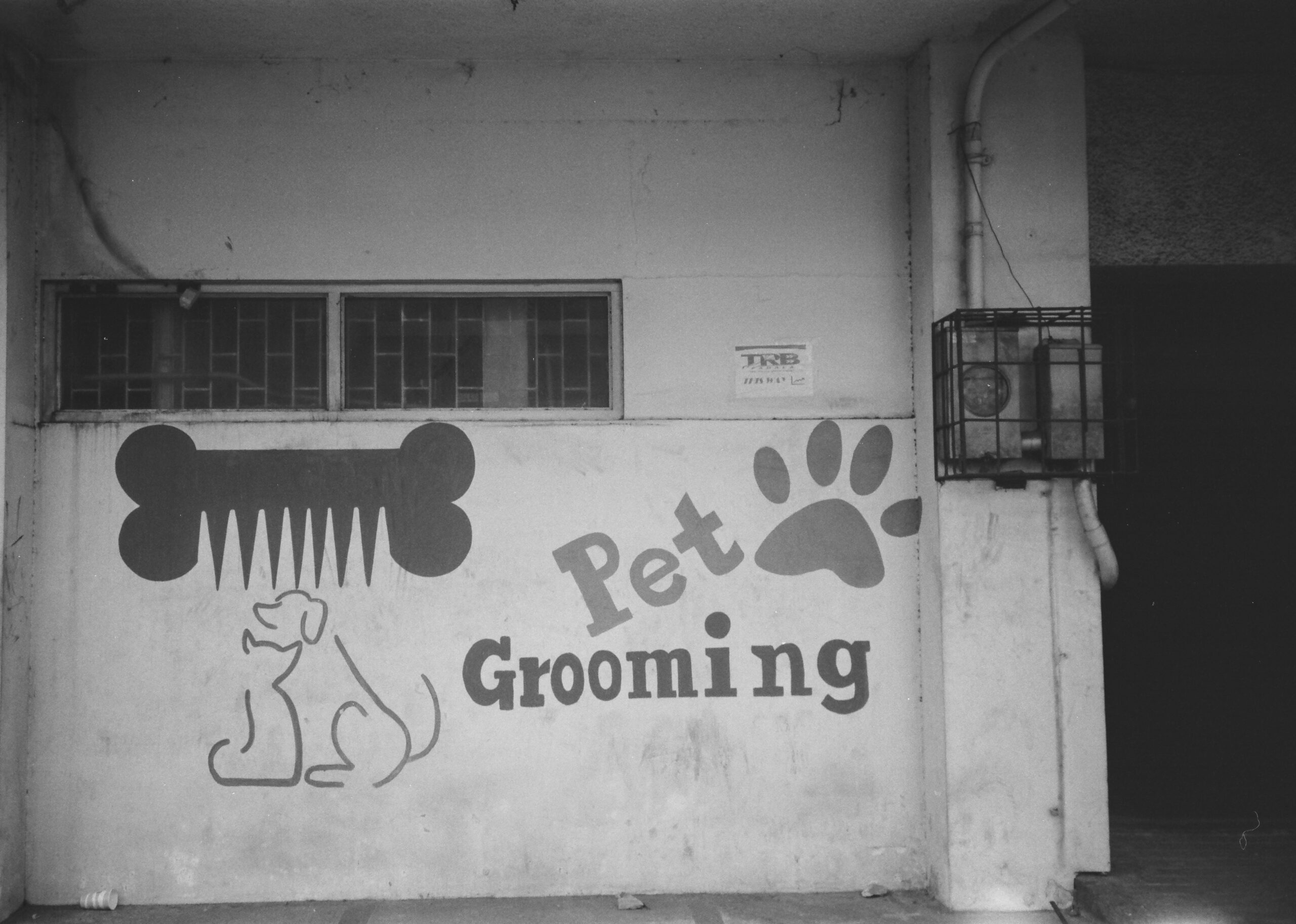 A close-up of a mat splitter tool grooming a dog's tangled fur on a clean, neutral background