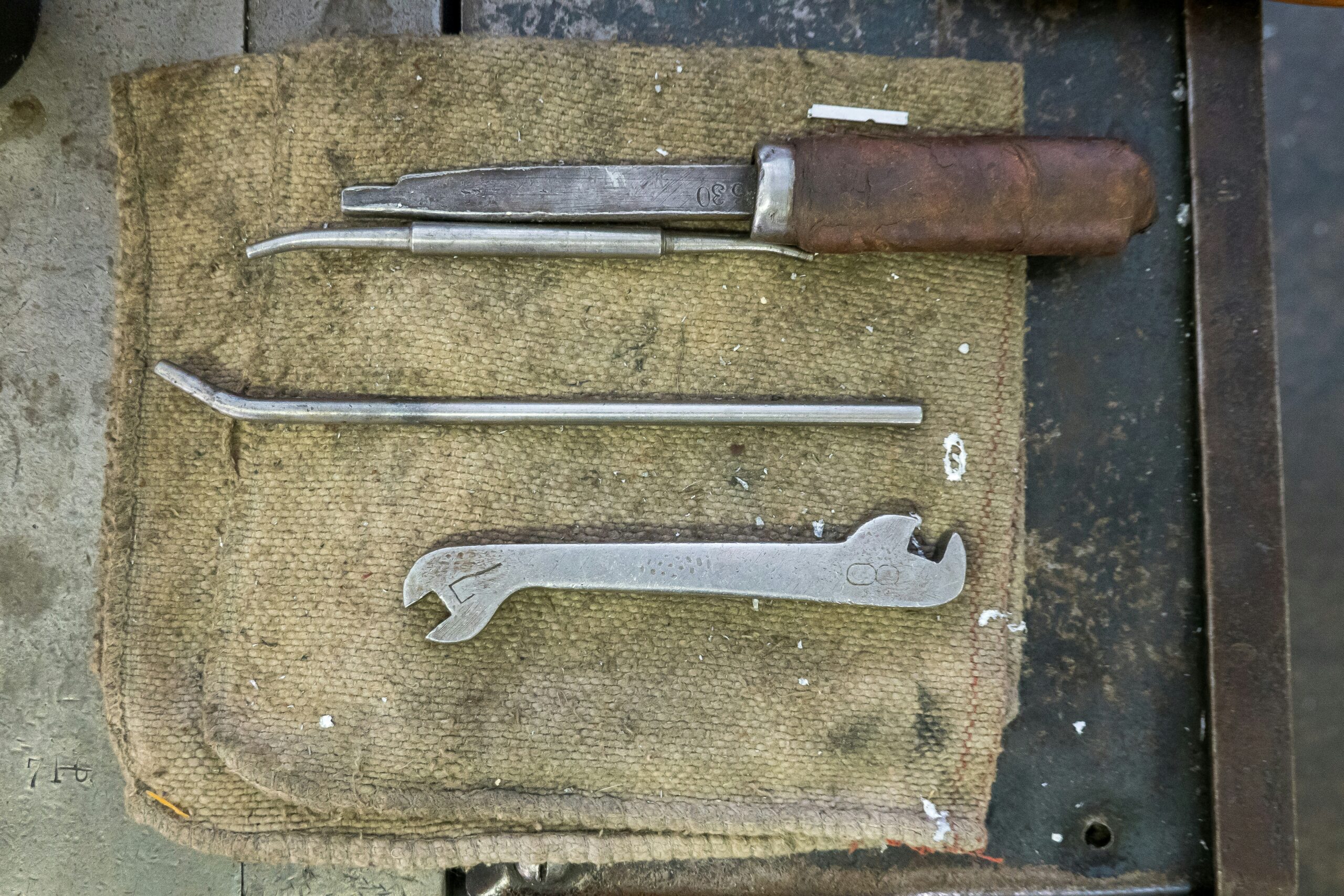 pet grooming tools