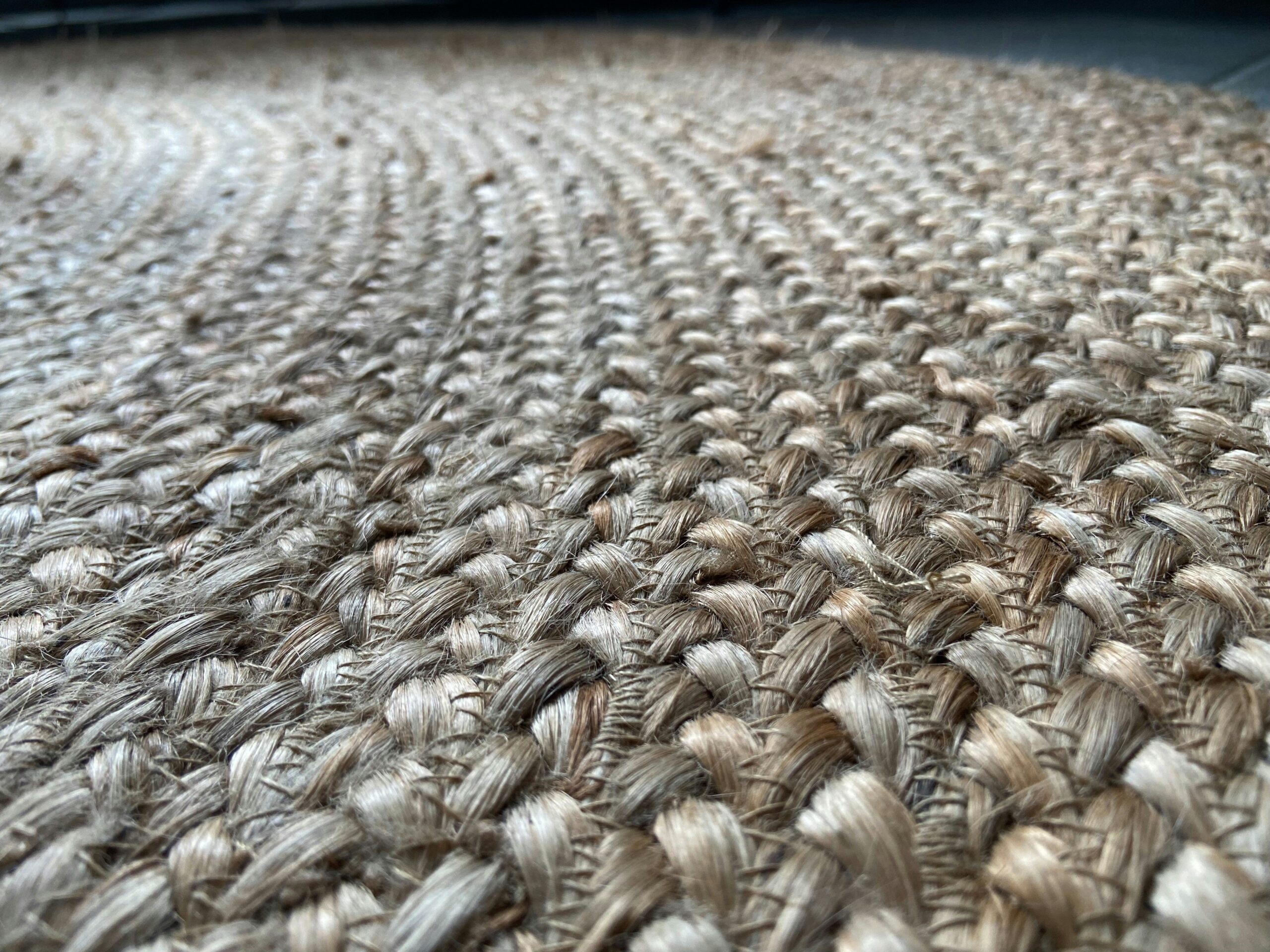 After photo of a happy dog with smooth, detangled fur.