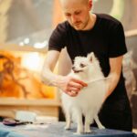 Blade Material Comparisons: The Ultimate Guide to Choosing Mat Splitters for Your Pet Grooming Arsenal