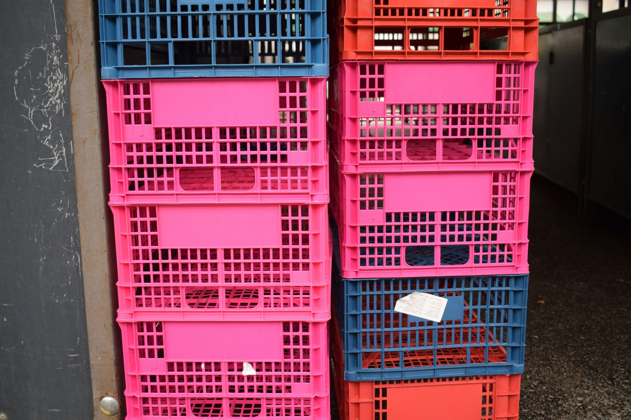 Over-the-door shoe organizer repurposed for pet grooming tools