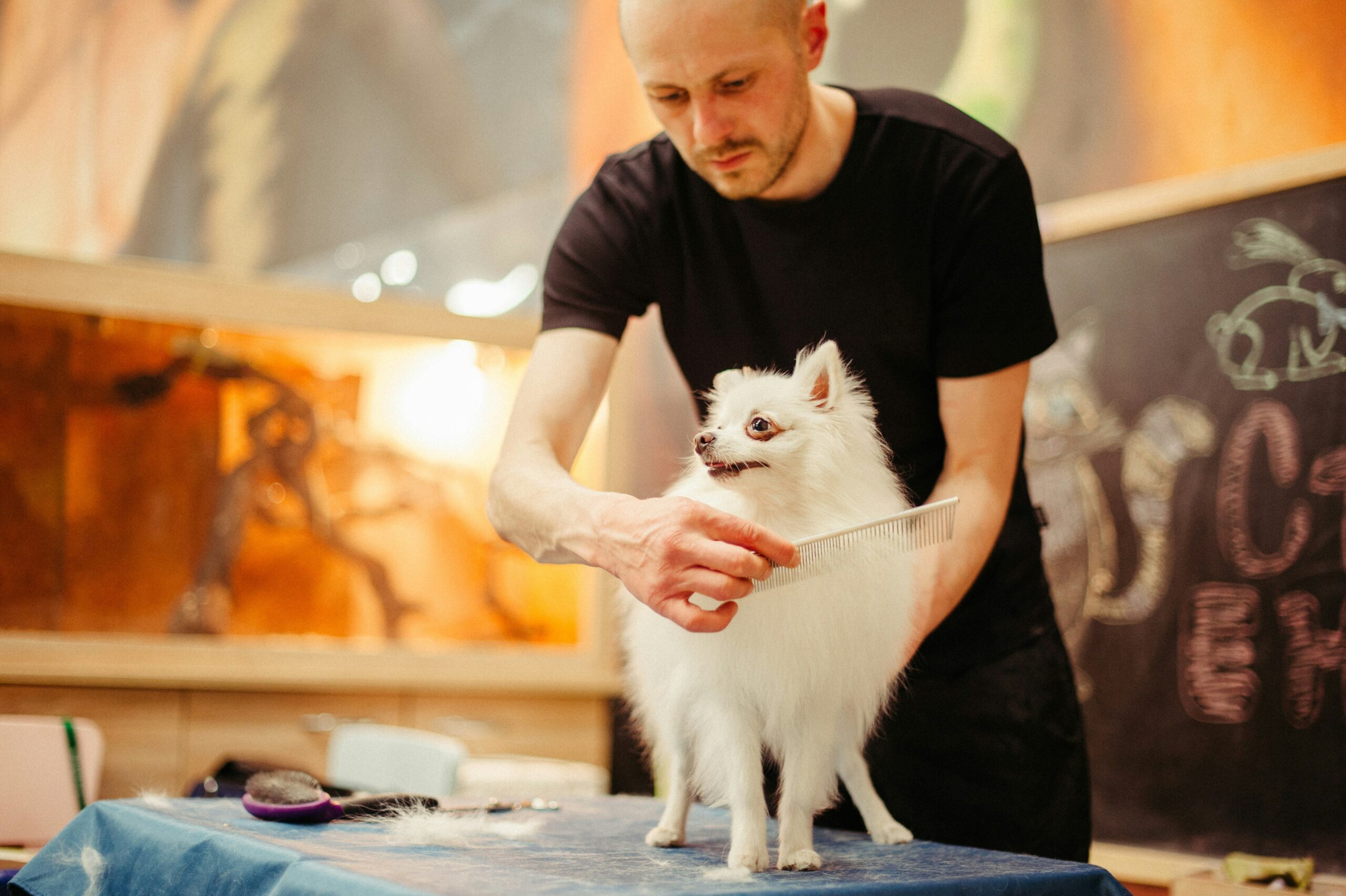 Precision Blade Designs: The Secret to Flawless Mat Splitters for Your Pet’s Grooming Needs