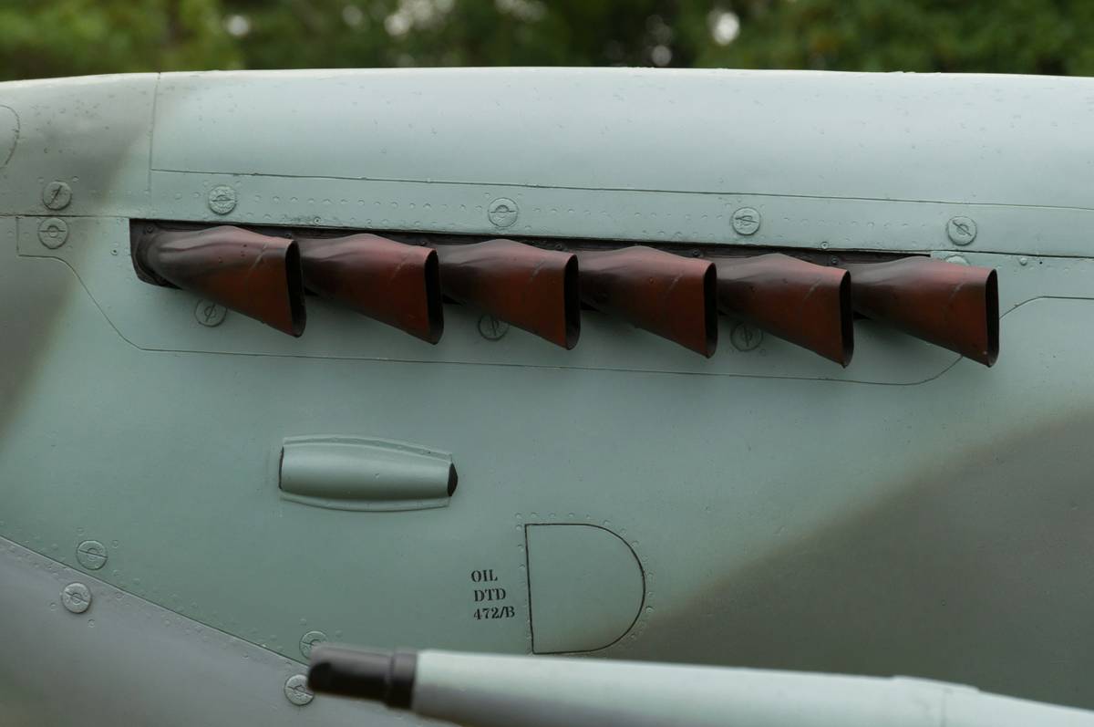 A Golden Retriever with heavily matted fur next to a groomer inspecting mats.