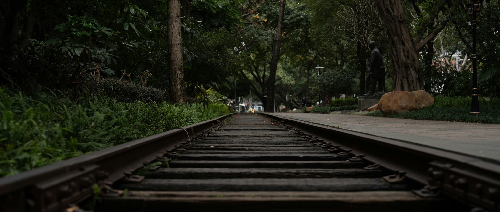 Professional pet grooming kit including mat splitter blade