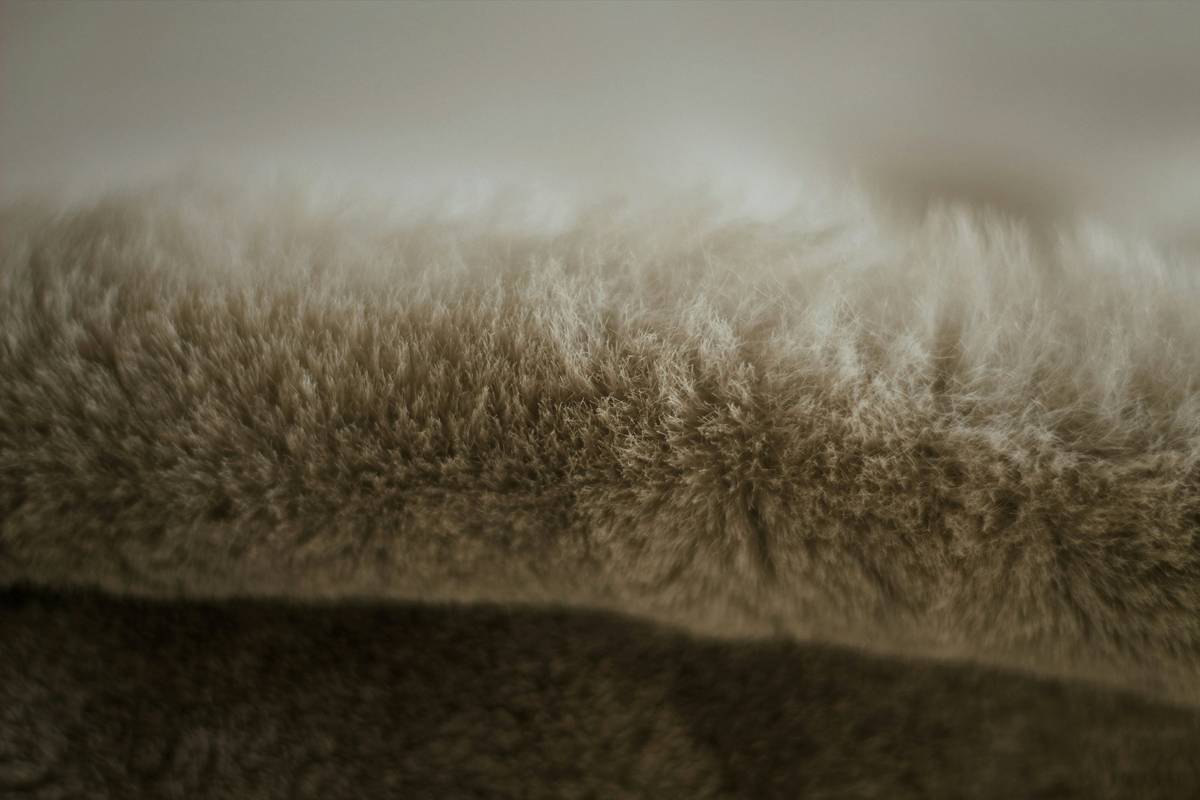 A tangled pet mat showing visible knots and frayed edges